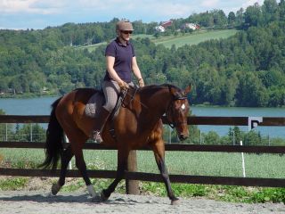 Woman trotting on brown horse in arena with lake and hill side in background