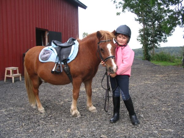 Shetland pony and girl with pink fleece