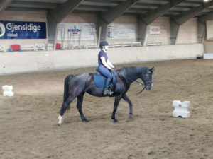 Black horse ridden by young woman in indoor arena