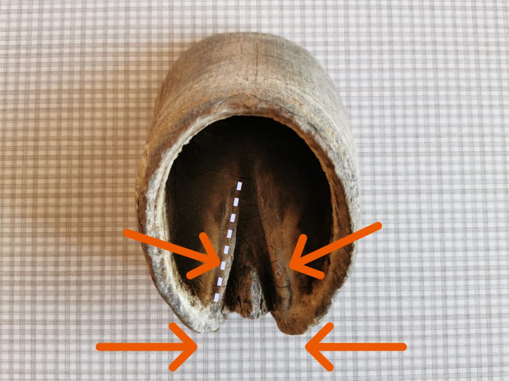 Hoof capsule with contraction markers
