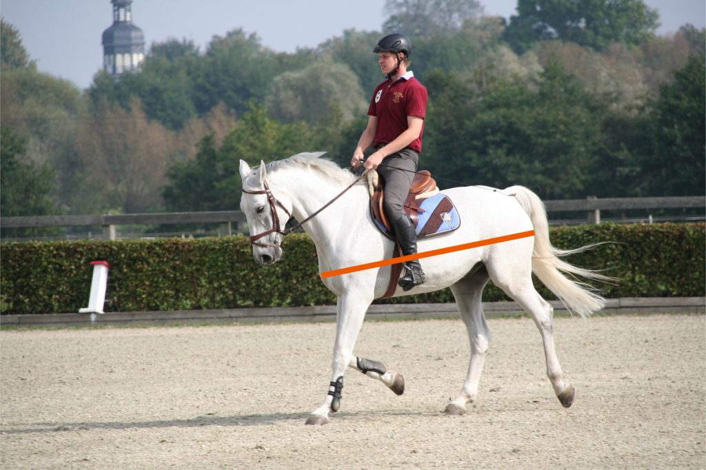 Rider on white horse trotting on the forehand