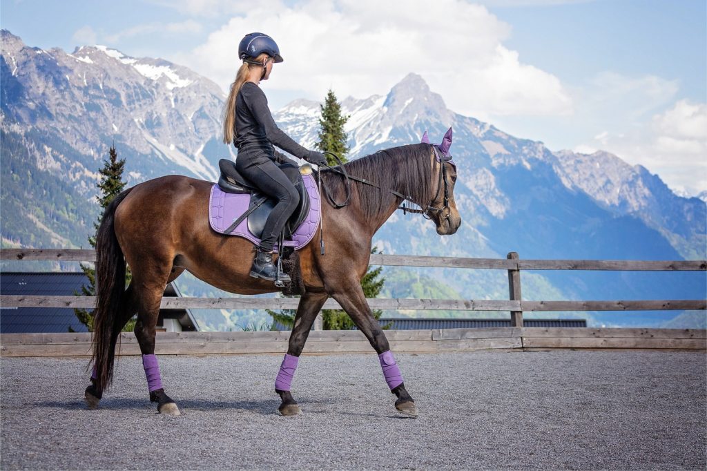 Horse and rider walking with mountains in background