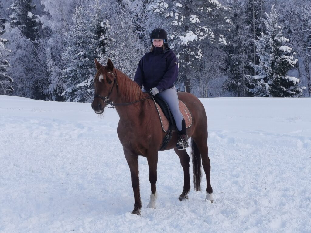 Woman on chestnut mare with dressage saddle on snowy field with snowy trees in background