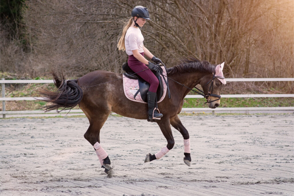 Girl in pink shirt and purple breeches riding brown pony with a pink saddle cloth, pink leg wraps and pink flybonnet.