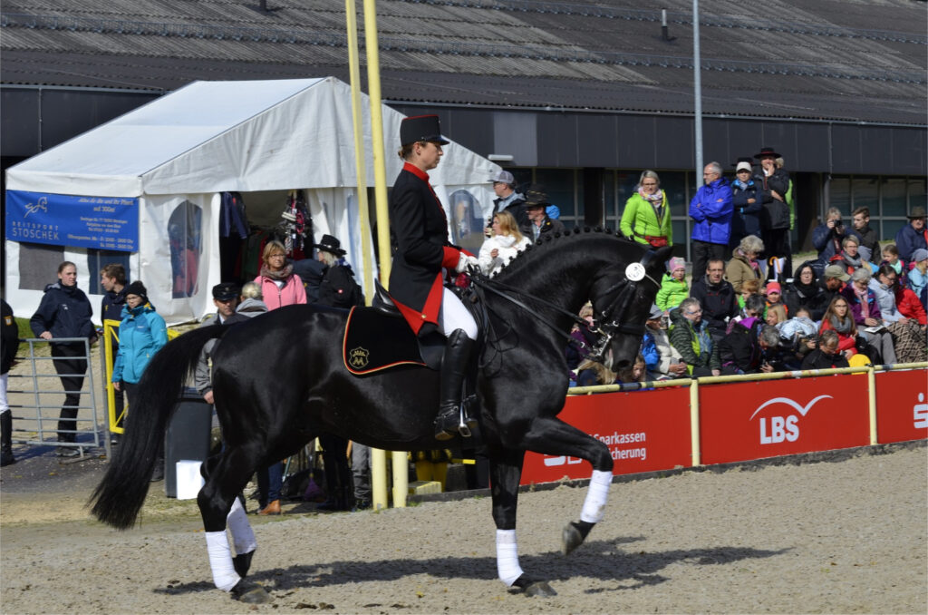 Woman in uniform riding on a black stallion in front of an audience
