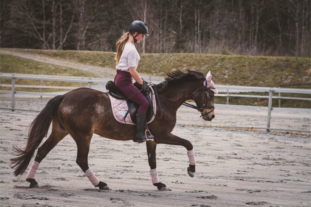 Girl in pink sweater cantering on brown pony with pink saddle pad, pink fly bonnet and pink wraps. Bandage use in horses now forbidden? Stop the Wrap!
