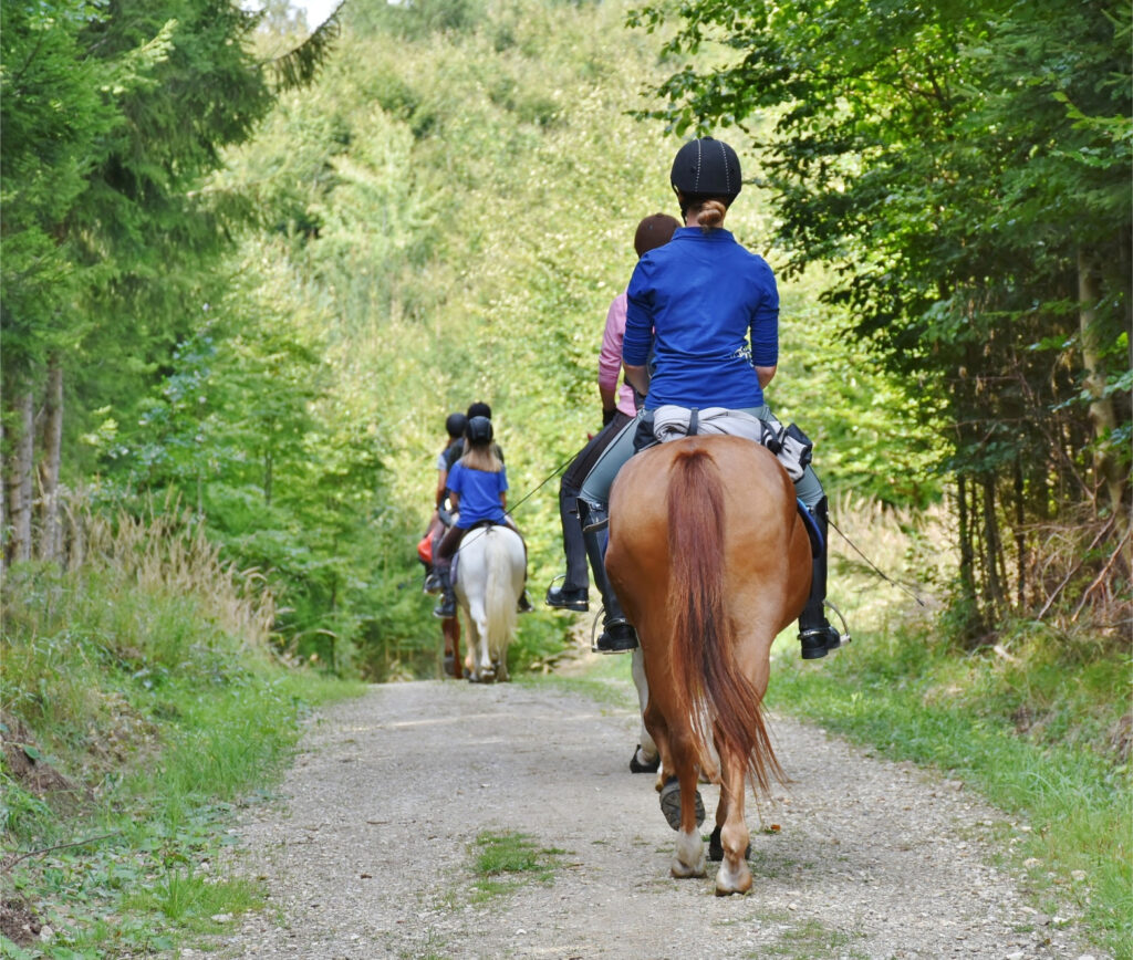 Group of pony riders on a woody path seen from behind