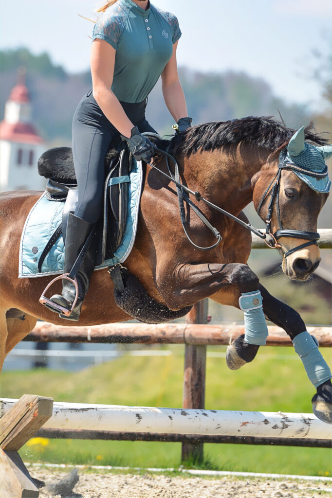 Girl in teal shirt jumping with brown pony with teal saddle pad, teal fly bonnet and teal bandages
