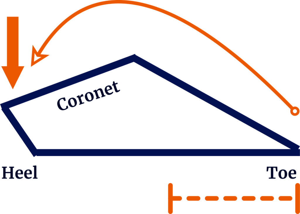 Diagram showing too long toe putting pressure on the heels of the hoof.